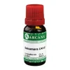 Best Arcana Dulcamara LM 6 Dilution, 10 ml