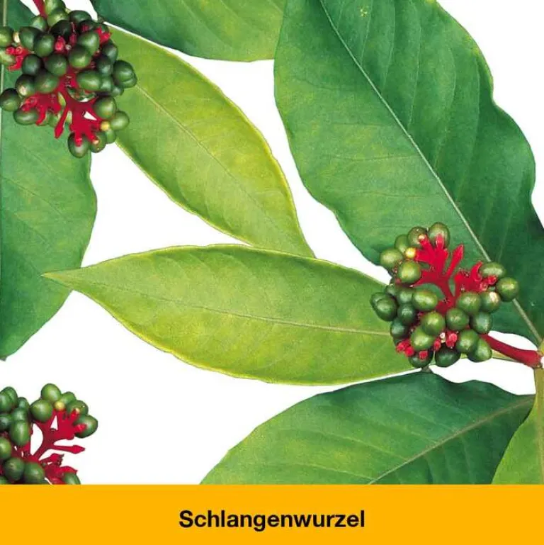 dystoLoges® Tabletten, 100 St Beruhigungsmittel