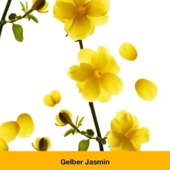 dystoLoges® Tabletten, 100 St Beruhigungsmittel