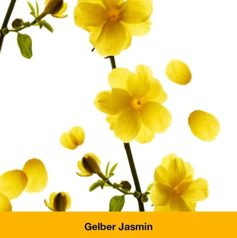 dystoLoges® Tabletten, 100 St Beruhigungsmittel