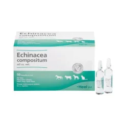 Echinacea Compositum Ampullen vet. (für Tiere), 50 St