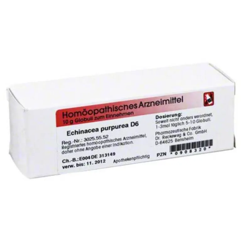 Discount Echinacea purpurea D 6 Globuli, 10 g E|E