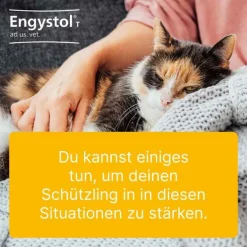 Engystol® ad us. vet. Tabletten, 100 St