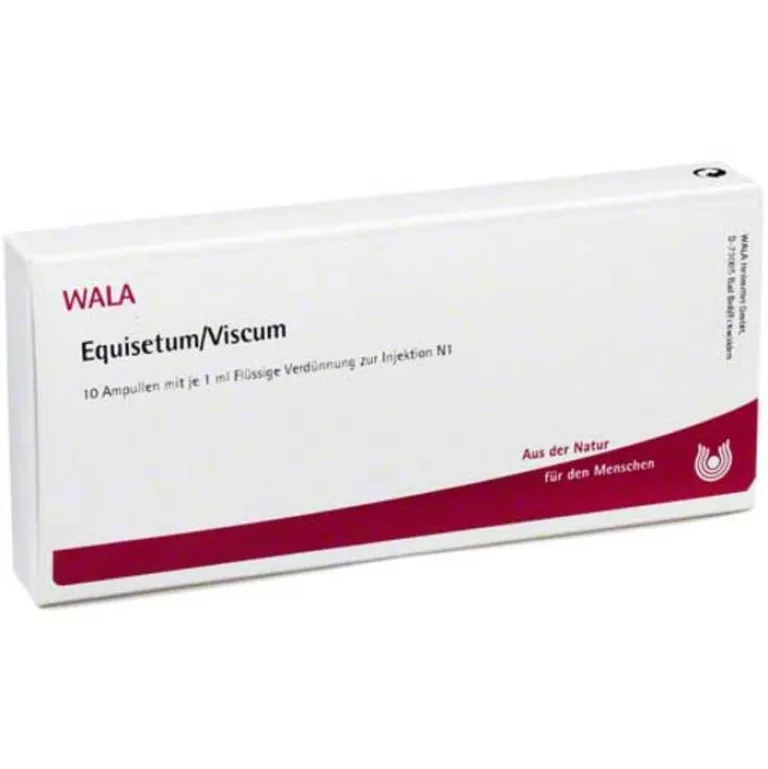 Sale Equisetum / Viscum Ampullen, 10X1 ml Niere, Blase & Prostata