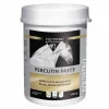 New Equistro Percutin Paste äußerlich vet. (für Tiere), 2 kg