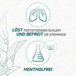 Online Eucabal ® Inhalat, 20 ml