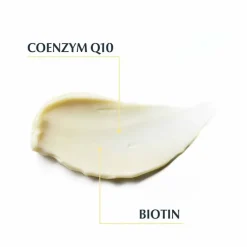 Clearance Q10 Active Anti-Falten Tagescreme für trockene Haut, 50 ml Empfindliche Haut|Anti-Aging