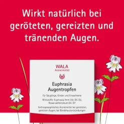 Outlet Euphrasia Augentropfen, 10X0.5 ml Allergie|Augentropfen Bindehautentzündung