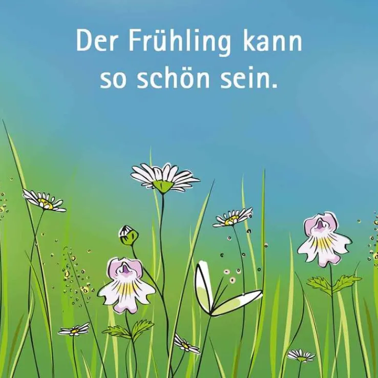 Euphrasia Augentropfen, 5X0.5 ml