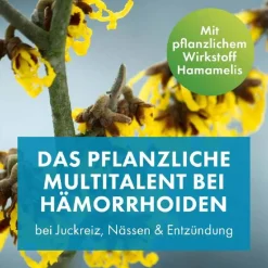 Sale Faktu lind Hämorrhoidenzäpfchen mit Hamamelis, 25 St