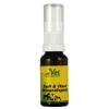 Discount Fell und Haut Mineralspray vet. (für Tiere), 20 ml Fell & Haut