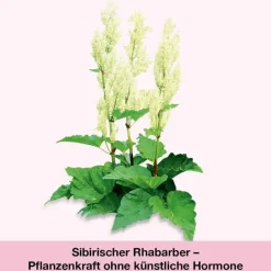 Sale Tabletten, 90 St Wechseljahre Medikamente