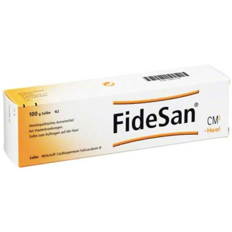 Hot Fidesan Salbe, 100 g