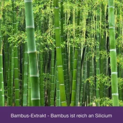 Flexiloges Knorpel aktiv Kapseln, 120 St