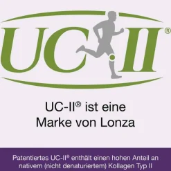 Flexiloges Knorpel aktiv Kapseln, 120 St