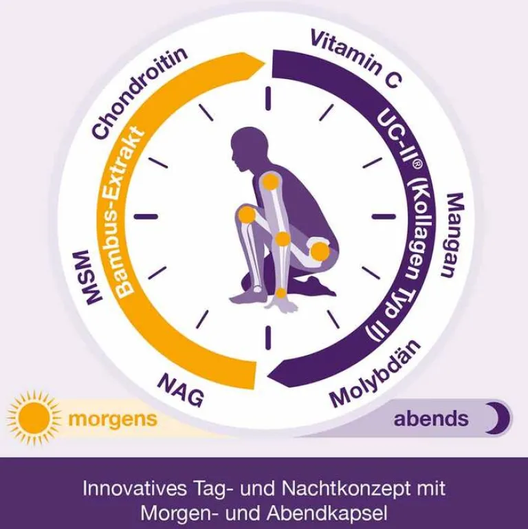 Discount Flexiloges Knorpel aktiv Kapseln, 240 St Glucosamin-Chondroitin