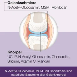 Discount Flexiloges Knorpel aktiv Kapseln, 240 St Glucosamin-Chondroitin