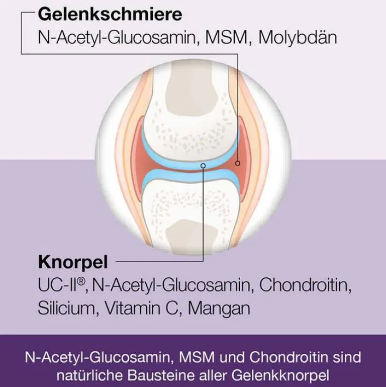 Discount Flexiloges Knorpel aktiv Kapseln, 240 St Glucosamin-Chondroitin