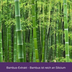 Discount Flexiloges Knorpel aktiv Kapseln, 240 St Glucosamin-Chondroitin