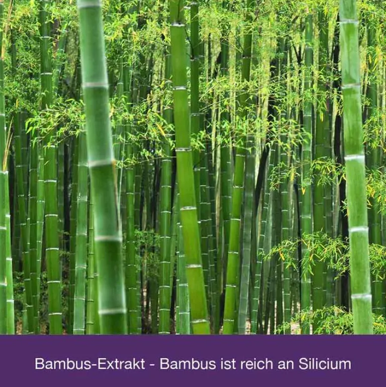 Discount Flexiloges Knorpel aktiv Kapseln, 240 St Glucosamin-Chondroitin