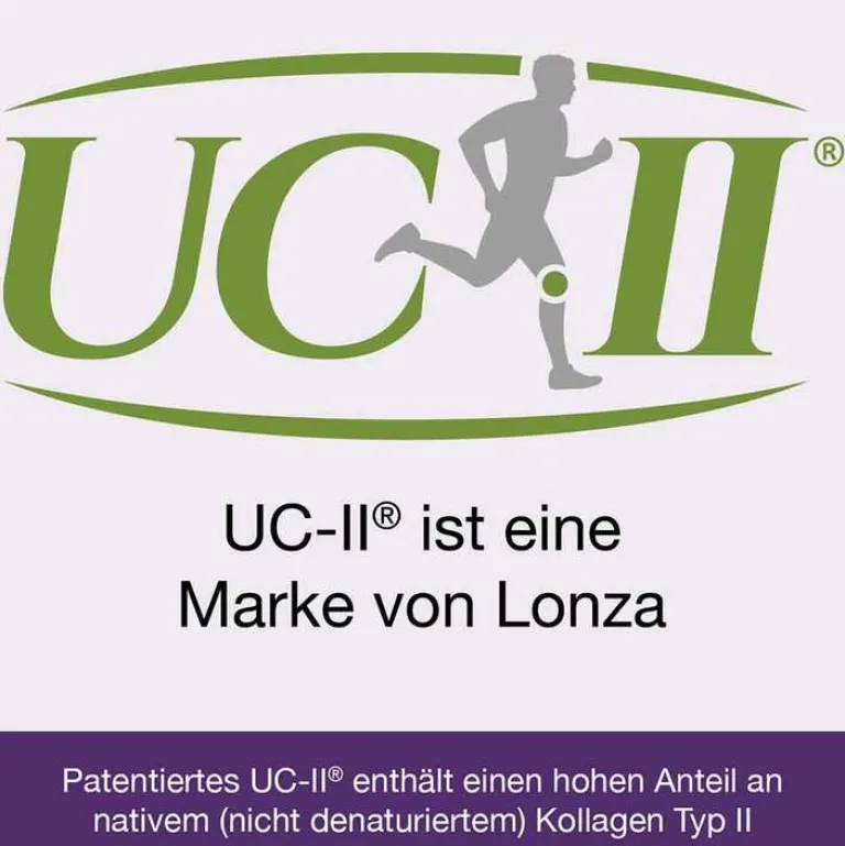 Discount Flexiloges Knorpel aktiv Kapseln, 240 St Glucosamin-Chondroitin