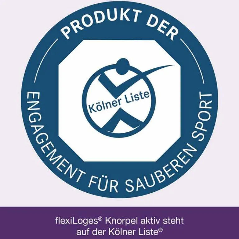 Discount Flexiloges Knorpel aktiv Kapseln, 240 St Glucosamin-Chondroitin