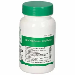 New Flohsamenschalen St.Severin Kapseln, 60 St