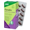 Hot Floradix Eisen plus B Vitamine Kapseln, 40 St
