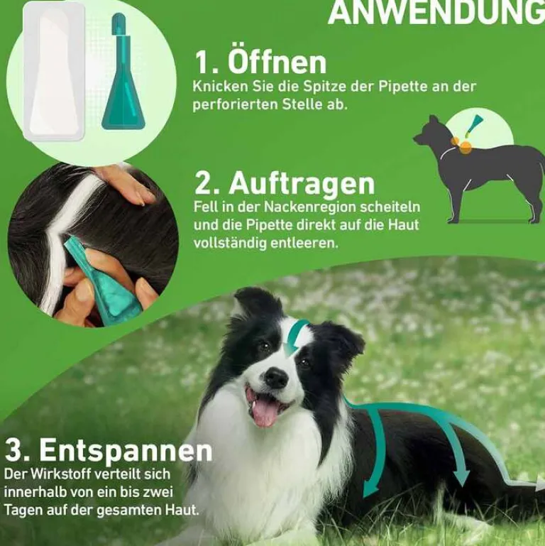 Clearance Frontline COMBO® gegen Zecken, Flöhe bei Hunden L (20-40 kg), 3 St