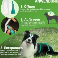 Outlet Frontline COMBO® gegen Zecken, Flöhe bei Hunden S (2 -10 kg), 6 St