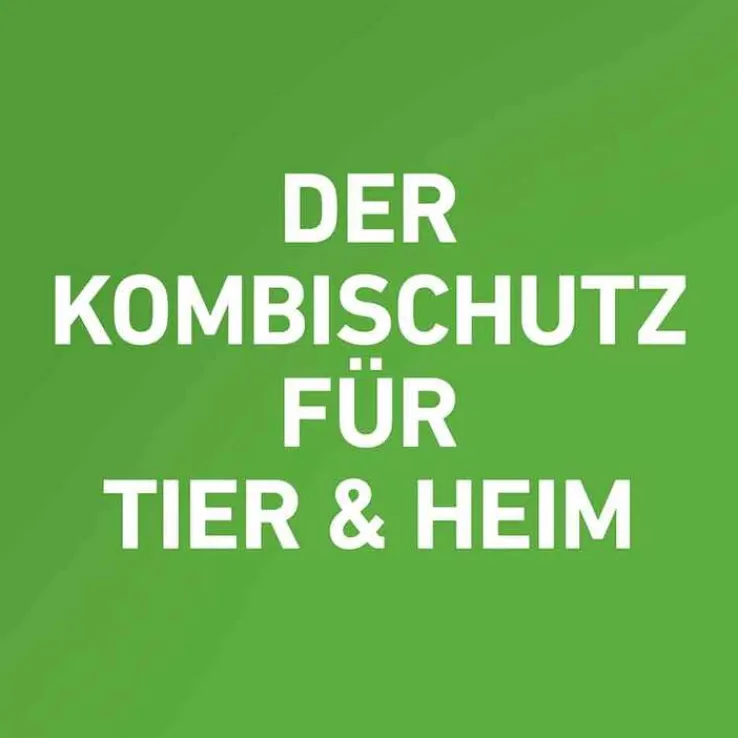 FRONTLINE COMBO® SPOT ON Katze, 3 St