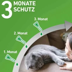 FRONTLINE COMBO® SPOT ON Katze, 3 St