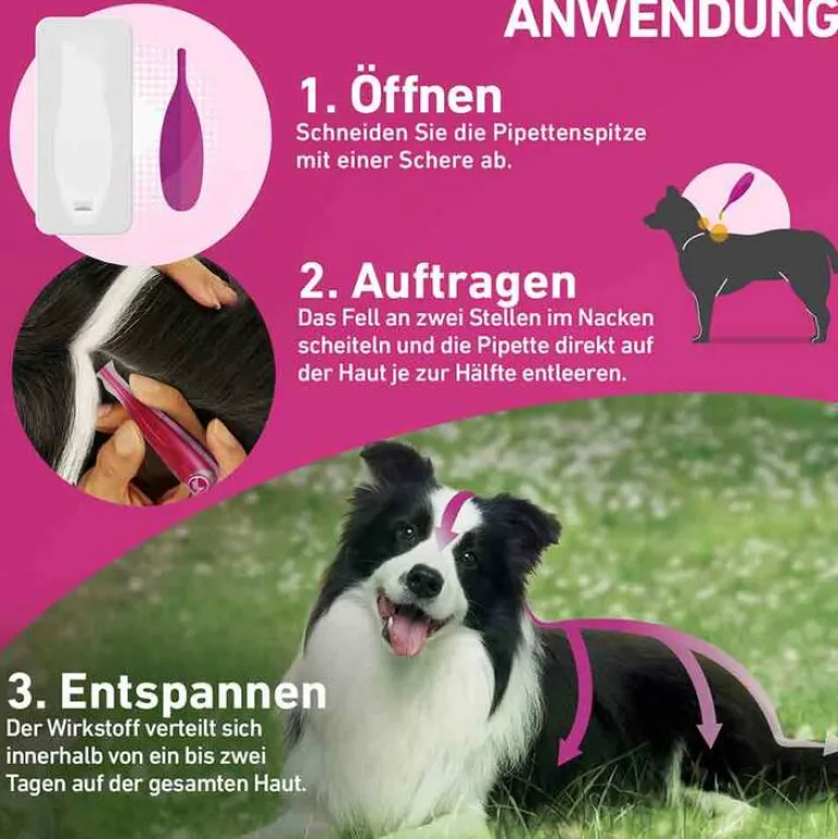 New Frontline TRI-ACT® gegen Zecke, Floh und fliegende Insekten bei Hunden (10-20kg), 6 St