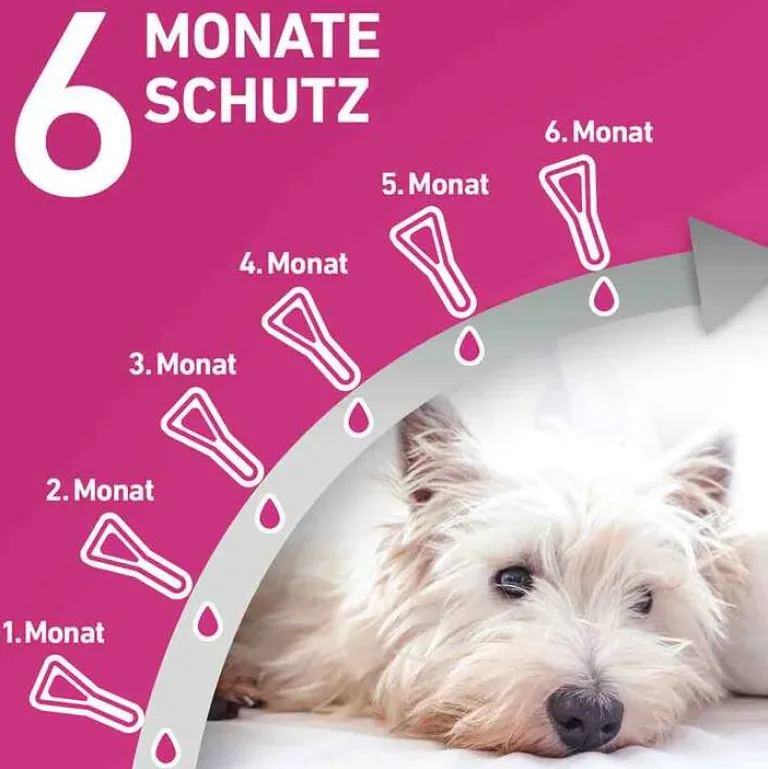 New TRI-ACT® gegen Zecke, Floh und fliegende Insekten bei Hunden (20-40kg), 6 St Flöhe, Zecken & Co.