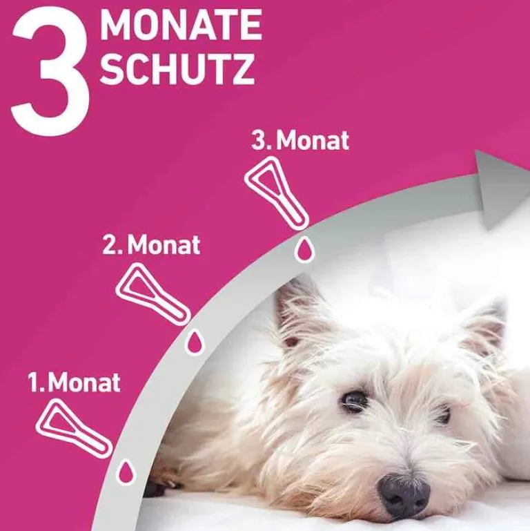 TRI-ACT® gegen Zecke, Floh und fliegende Insekten bei Hunden (20-40kg), 3 St Flöhe, Zecken & Co.