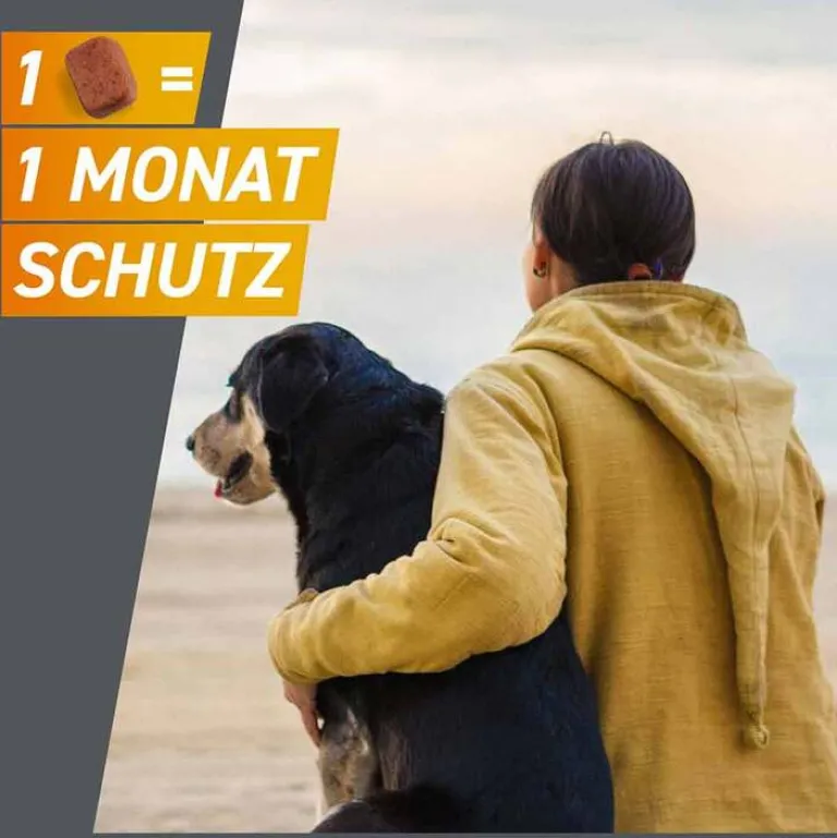 Hot Frontpro 28 mg Kautabletten für Hunde 4 - 10 kg, 3 St