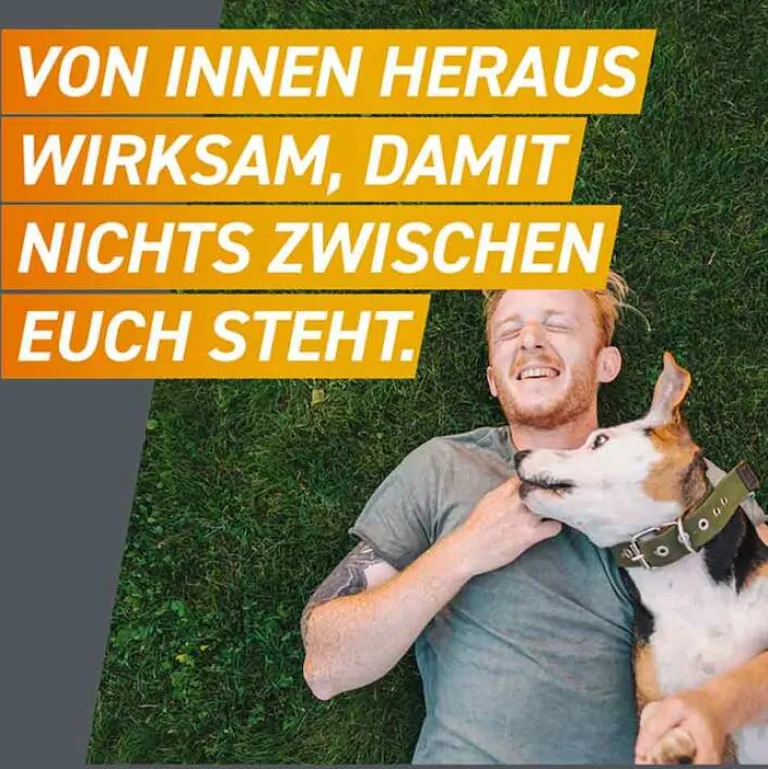 Hot Frontpro 28 mg Kautabletten für Hunde 4 - 10 kg, 3 St