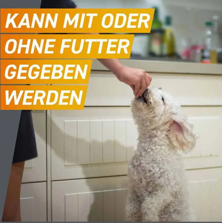 Hot Frontpro 28 mg Kautabletten für Hunde 4 - 10 kg, 3 St