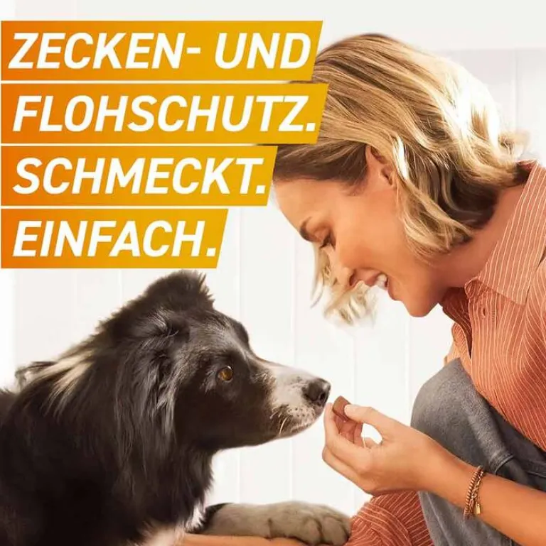 Hot 11 mg Kautabletten für Hunde 2 - 4 kg, 3 St Flöhe, Zecken & Co.