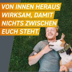 Hot 11 mg Kautabletten für Hunde 2 - 4 kg, 3 St Flöhe, Zecken & Co.