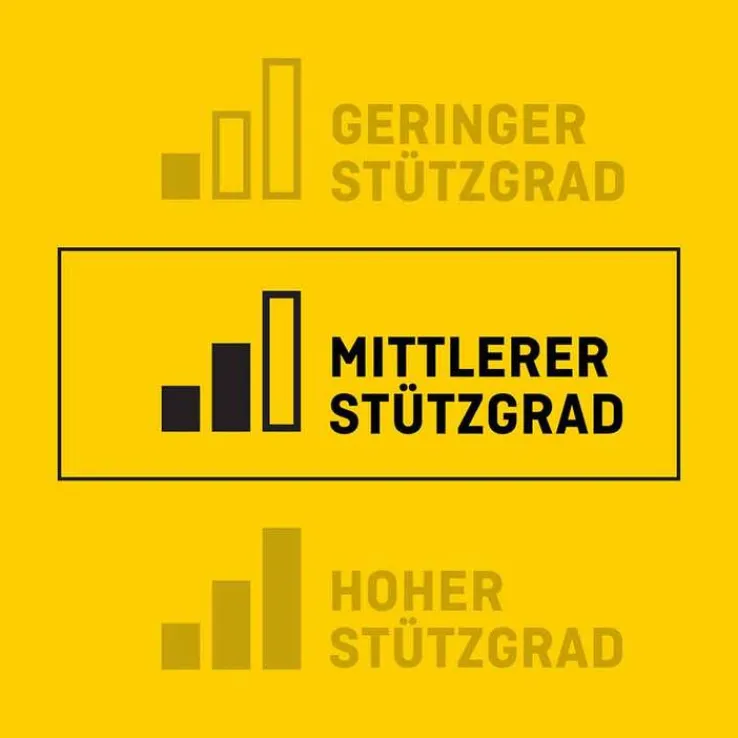 Futuro Sport Sprunggelenkbandage alle Größen, 1 St