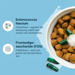 Hot Diät-Ergänzungsfuttermittel Kapseln für Hunde / Katzen, 50 St Magen & Darm|Magen & Darm