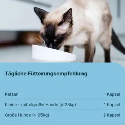 Hot Diät-Ergänzungsfuttermittel Kapseln für Hunde / Katzen, 50 St Magen & Darm|Magen & Darm