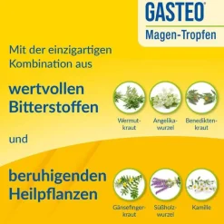 GASTEO Tropfen bei Magen-Darm-Beschwerden, 100 ml