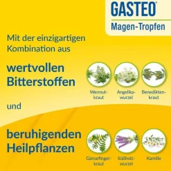 Outlet Gasteo Tropfen bei Magen-Darm-Beschwerden, 20 ml