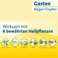 Outlet Gasteo Tropfen bei Magen-Darm-Beschwerden, 20 ml