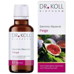 Online Dr. Koll Gemmo Mazerat Feige Ficus carica Tropfen, 50 ml