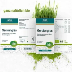 GSE Gerstengras 500 mg Bio Tabletten, 240 St