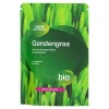Online GSE Gerstengras Bio Pulver, 250 g