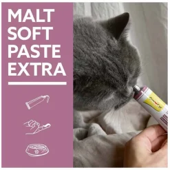 Online Gimpet GimCat Malt-Soft Paste Extra für Katzen, 200 g